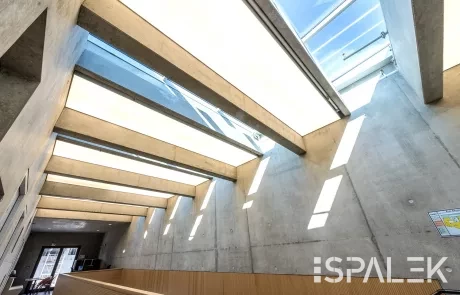 Modernes Interieur in Straßburg mit Sichtbetonwänden, schrägen Oberlichtern und einer Hager-Holzbank entlang einer Wand.