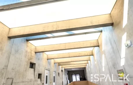 Heller, moderner Flur mit Betonwänden, Oberlichtern und viel Tageslicht. Holzverkleidung um ein Treppenhaus, Türen am Flur.