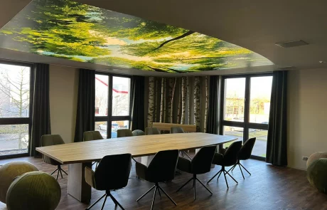 Moderner Westpress Besprechungsraum mit großen Fenstern, langem Holztisch, schwarzen Stühlen, grünen Sitzbällen und Baumdeckenmotiv.
