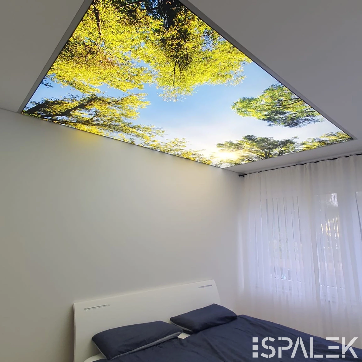 Helles Schlafzimmer mit Bett unter glänzender Deckenplatte, die Baumäste und blauen Himmel wie ein künstliches Oberlicht zeigt.