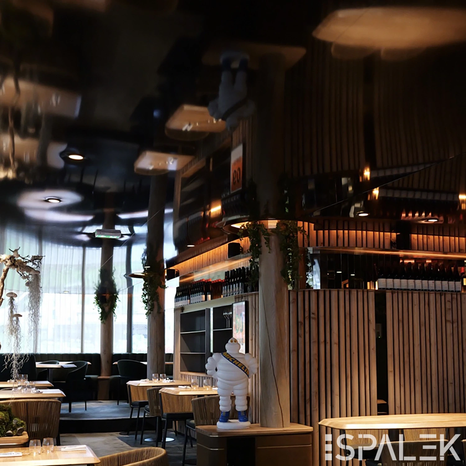 Modernes Restaurant Murmure in Clermont-Ferrand mit Holzlamellenwänden, runden Tischen, Pflanzen und viel Tageslicht.