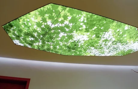 Sechseckiges Deckenlichtpanel mit grünen Baumblättern vor hellem Himmel; unten ein roter Türrahmen, Schriftzug ESPALEK.